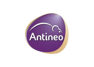 logo antineo