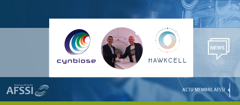 Cynbiose and Hawkcell team up in a strategic partnership