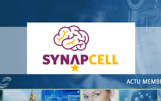 Actu_Synapcell