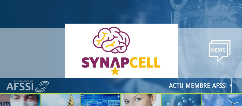 Actu_Synapcell